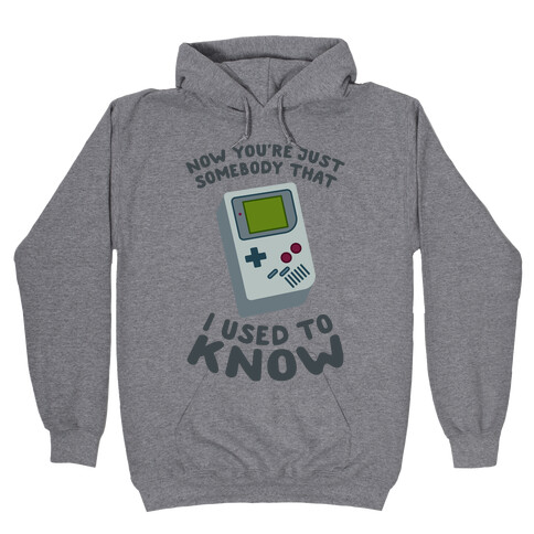 Now You're Just Somebody That I Used To Know Hooded Sweatshirt