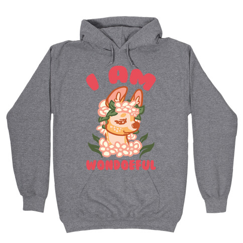 I Am Wondoeful Hooded Sweatshirt