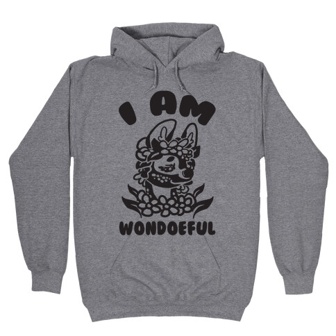 I Am Wondoeful Hooded Sweatshirt