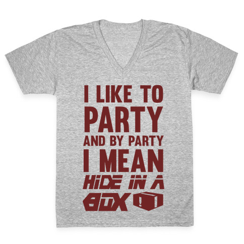 I Like To Party And By Party I Mean Hide In A Box V-Neck Tee Shirt