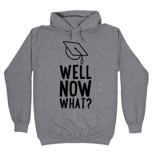 Well, Now What? Hooded Sweatshirt