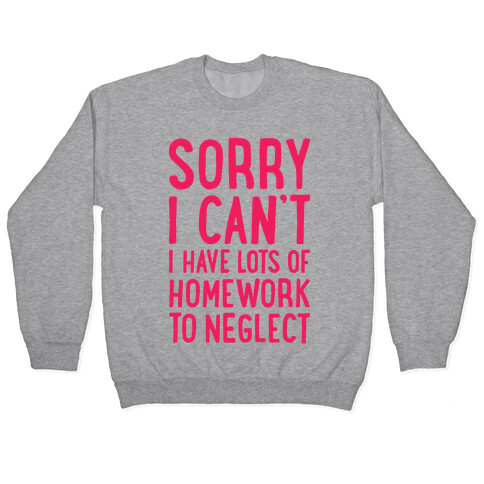 Sorry I Can't, I Have Homework To Neglect Pullover