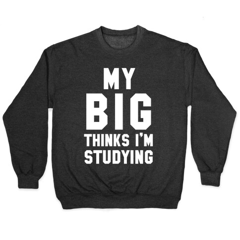 My Big Thinks I'm Studying Pullover