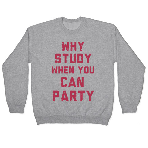 Why Study When You Can Party Pullover