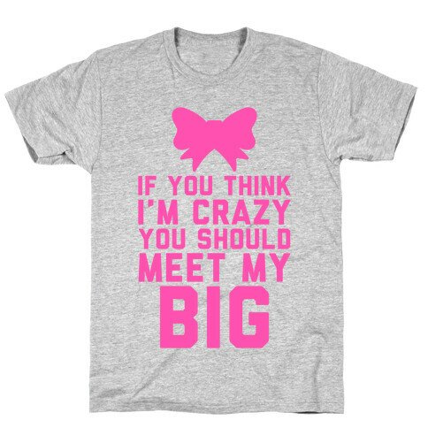 If You Think I'm Crazy, You Should Meet My Big T-Shirt