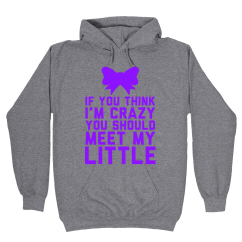 If You Think I'm Crazy, You Should Meet My Little Hooded Sweatshirt