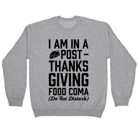 I Am In A Post- Thanksgiving Food Coma (Do Not Disturb) Pullover