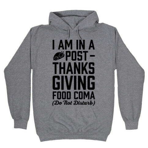 I Am In A Post- Thanksgiving Food Coma (Do Not Disturb) Hooded Sweatshirt