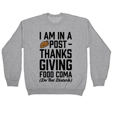 I Am In A Post- Thanksgiving Food Coma (Do Not Disturb) Pullover