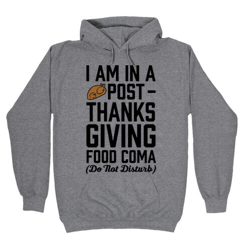 I Am In A Post- Thanksgiving Food Coma (Do Not Disturb) Hooded Sweatshirt