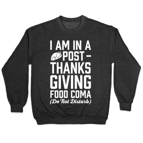 I Am In A Post- Thanksgiving Food Coma (Do Not Disturb) Pullover