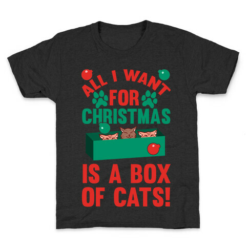All I Want For Christmas Is A Box Of Cats Kids T-Shirt