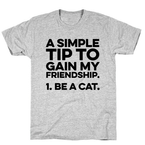 A Simple Tip to Gain My Friendship T-Shirt