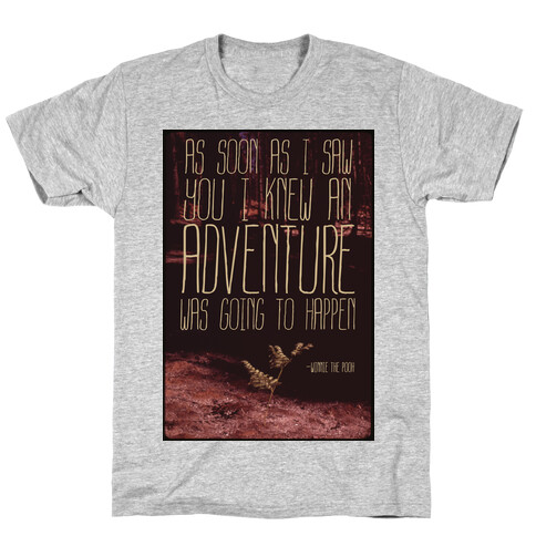 As Soon As I Saw You, I Knew an Adventure was Going to Happen T-Shirt