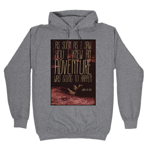 As Soon As I Saw You, I Knew an Adventure was Going to Happen Hooded Sweatshirt