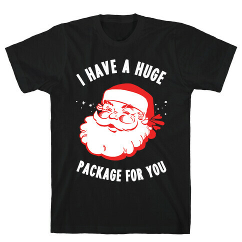 I Have A Huge Package For You Santa T-Shirt