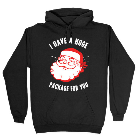 I Have A Huge Package For You Santa Hooded Sweatshirt