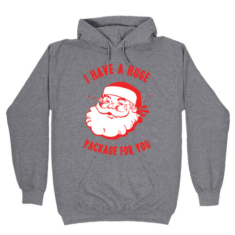 I Have A Huge Package For You Santa Hooded Sweatshirt