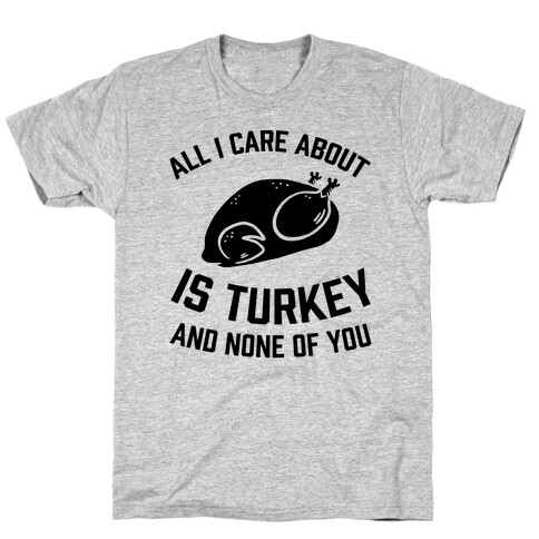 All I Care About Is Turkey And None Of You T-Shirt