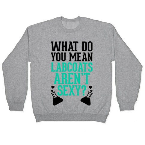 What Do You Mean Labcoats Aren't Sexy? Pullover