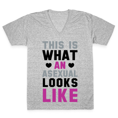 This is What an Asexual Looks Like V-Neck Tee Shirt