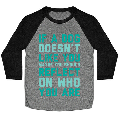 If A Dog Doesn't Like You Maybe You Should Reflect On Who You Are Baseball Tee