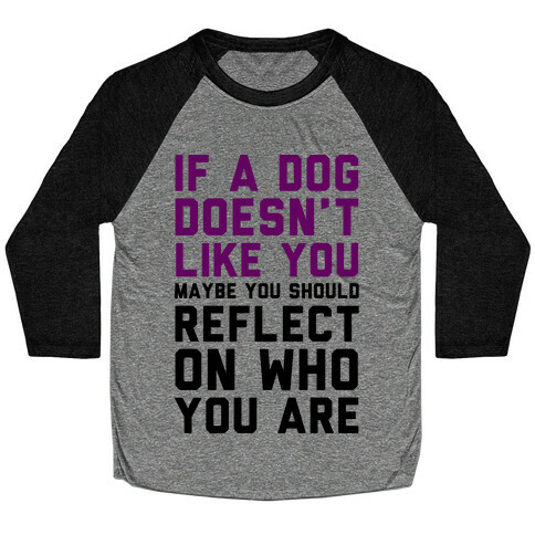 If A Dog Doesn't Like You Maybe You Should Reflect On Who You Are Baseball Tee