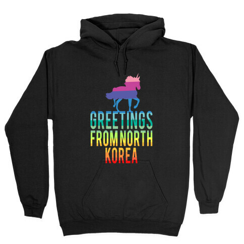 Greetings From North Korea (Rainbow) Hooded Sweatshirt