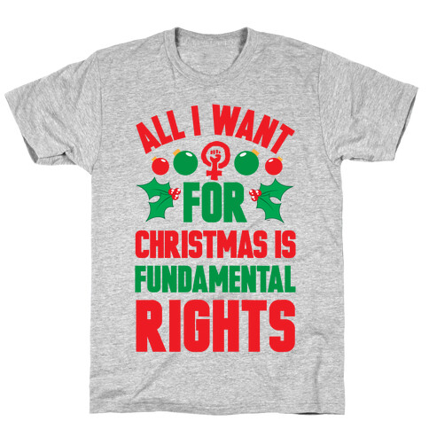All I Want For Christmas Is Fundamental Rights T-Shirt