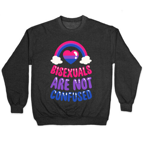 Bisexuals Are Not Confused Pullover