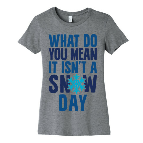 What Do You Mean It Isn't A Snow Day Womens T-Shirt