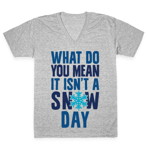 What Do You Mean It Isn't A Snow Day V-Neck Tee Shirt