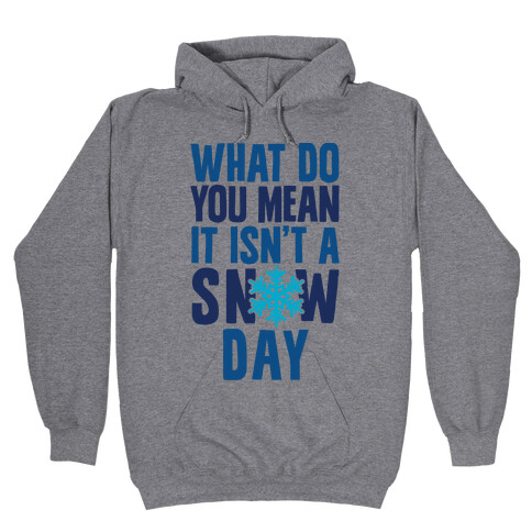 What Do You Mean It Isn't A Snow Day Hooded Sweatshirt