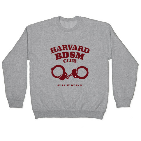 Harvard BDSM (Just Kidding) Pullover
