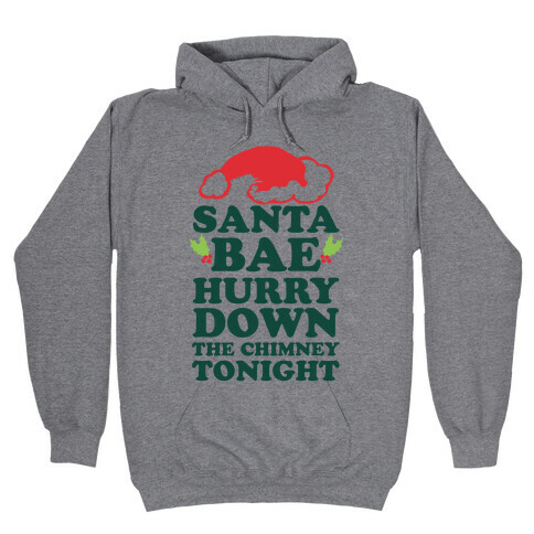 Santa Bae Hurry Down The Chimney Tonight Hooded Sweatshirt