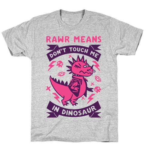 Rawr Means Don't Touch Me In Dinosaur T-Shirt