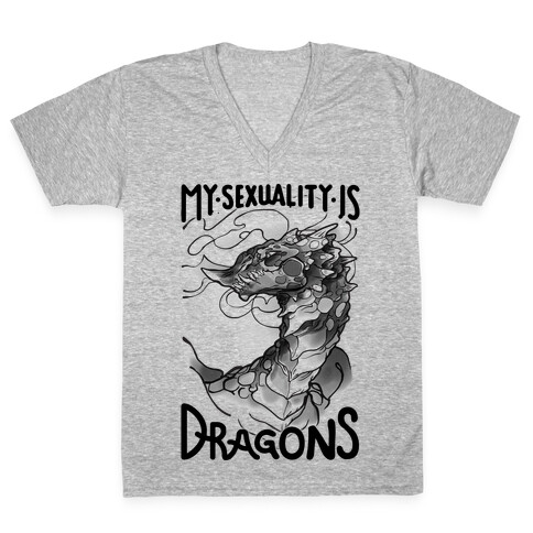 My Sexuality Is Dragons V-Neck Tee Shirt
