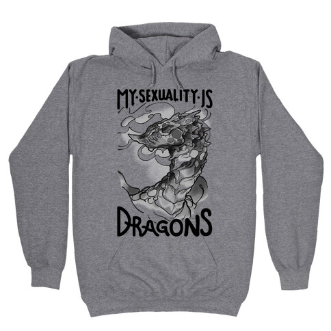 My Sexuality Is Dragons Hooded Sweatshirt