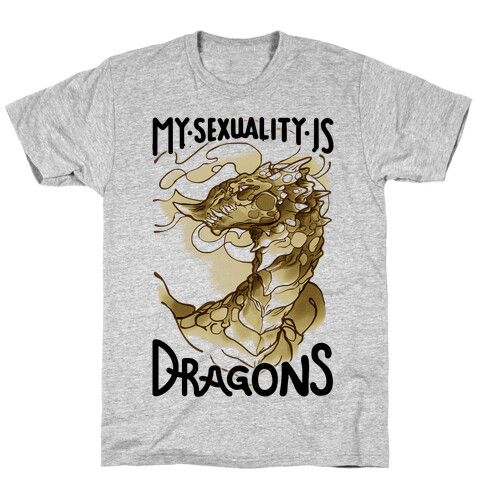 My Sexuality Is Dragons T-Shirt