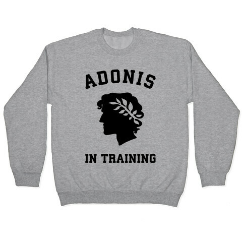 Adonis In Training Pullover