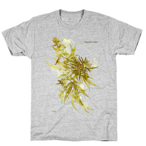 Cannabis Botanical Illustration T-Shirt