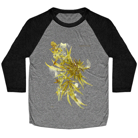 Cannabis Botanical Illustration Baseball Tee