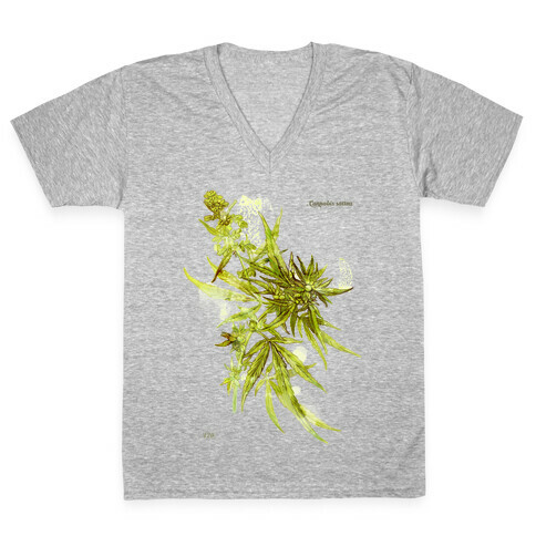 Cannabis Botanical Illustration V-Neck Tee Shirt