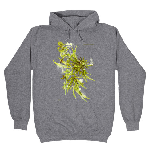 Cannabis Botanical Illustration Hooded Sweatshirt