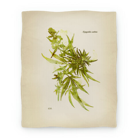 Cannabis Botanical Illustration Blanket