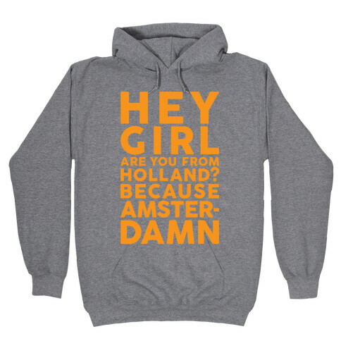 Are You From Holland Because Amster-Damn Hooded Sweatshirt