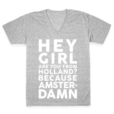 Are You From Holland Because Amster-Damn V-Neck Tee Shirt