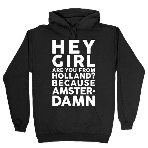 Are You From Holland Because Amster-Damn Hooded Sweatshirt