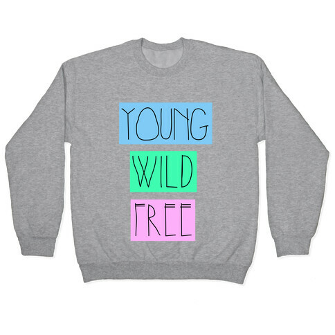Young Wild Free Pullover