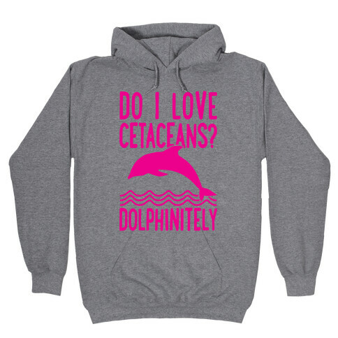 Dolphinitely Hooded Sweatshirt